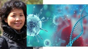 Wanita Kalelawar Shi Zhengli sosok kunci virus corona covid-19 (Kolase/mirror)